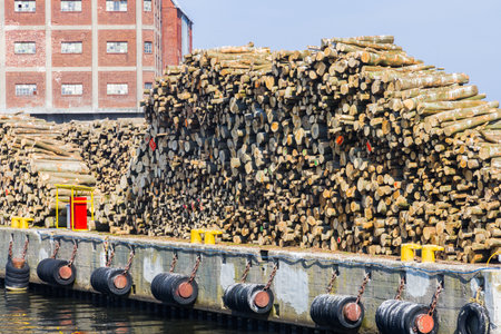 Pile of logs in a harbor, ready for transportation and storageの写真素材