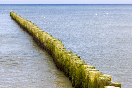 Wooden breakwater on the Baltic Seaの写真素材