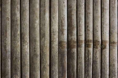 bamboo background of thailandの写真素材