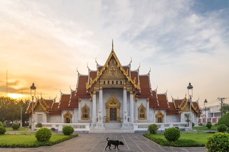 Thailand Temple,Wat Benchamabophit Dusitvanaram,Dogの写真素材