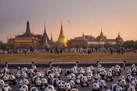 SANAM LUANG BANGKOK THAILAND- MAR 4:A cute flash mob of 1,600 papier-mch pandas has occupied Sanam Luang this afternoon, brightening up the historic ground beside Wat Phra Kaew.のeditorial素材