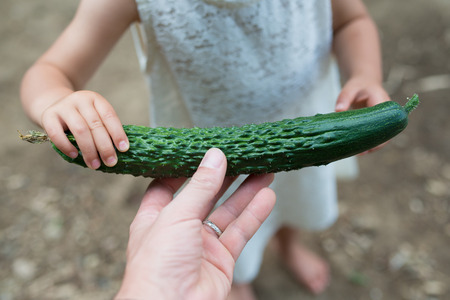 Mother and child holding a cucumberの写真素材