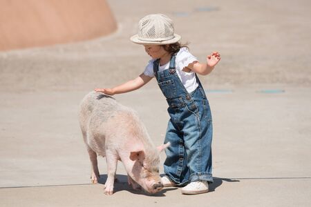 Girl touching the pigの写真素材