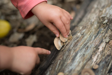 Little girl finds a wild mashroom