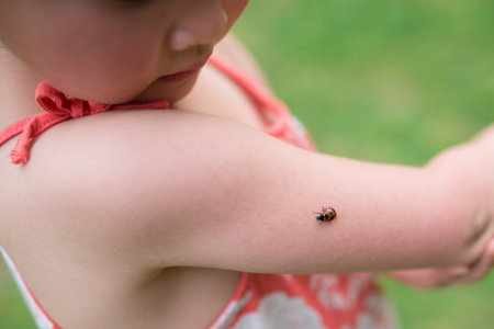 Little ladybug crawling on child's arm