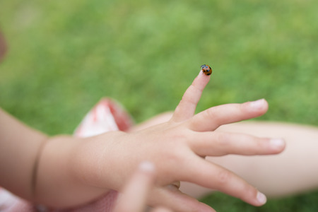 Little ladybug crawling on child's handの写真素材