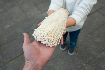 Mother and daughter holding enokiの写真素材
