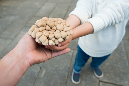Mother and daughter holding mushroomの写真素材