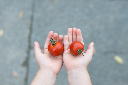 Child with tomatoesの写真素材