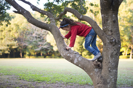 Little girl trying to climb up on the treeの写真素材