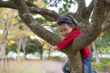 Little girl trying to climb up on the treeの写真素材