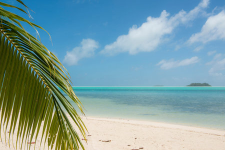 Beautiful sea