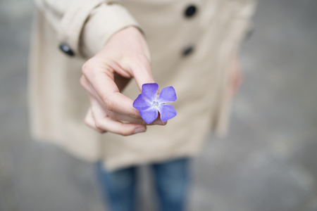 Close up of woman holding a purple flowerの写真素材