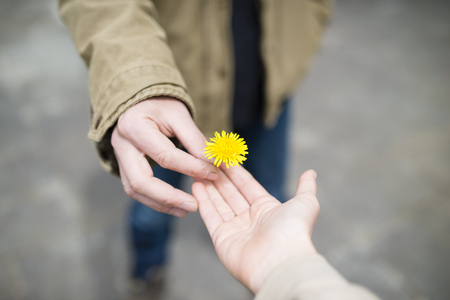 Man gives a dandelion to a womanの写真素材