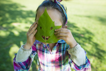 A girl holds a big leaf with her hands and covers her faceの写真素材
