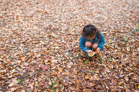 Pretty little girl playing in the autumn parkの写真素材