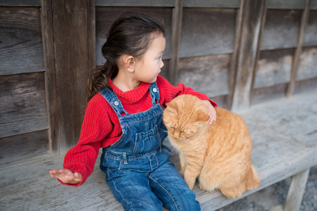Adorable little girl and yellow cat sitting on the benchの写真素材