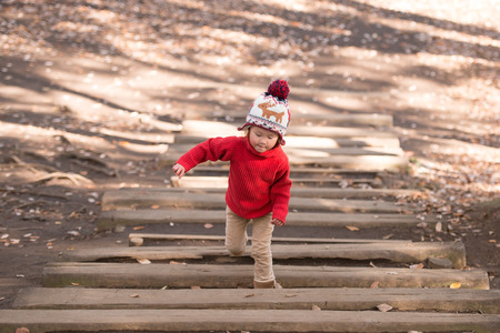 Happy little girl climbing up the wooden stairs in the forestの写真素材