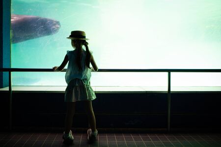 A girl looking at a sealの写真素材