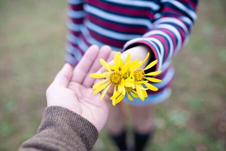 Hands of parent and child handing yellow flowersの写真素材