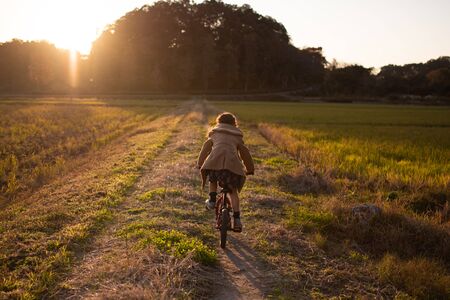 Girl riding a bicycle at sunsetの写真素材