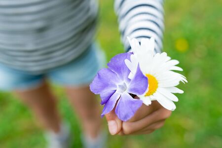 Child who holds out a flowerの写真素材