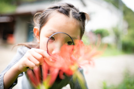 Girl looking at cluster amaryllis with a magnifying glassの写真素材