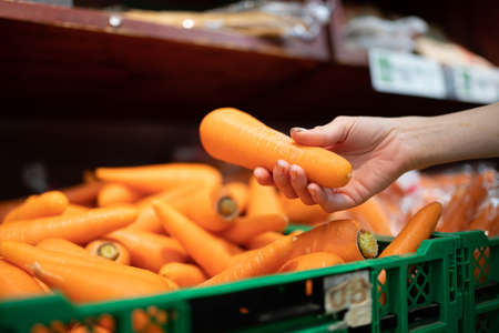 Women's hands picking up carrots in a supermarketの写真素材