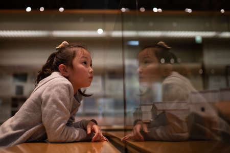 Girl looking at exhibits at the museumの写真素材