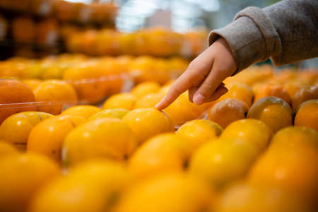 Children's hands choosing persimmons in the supermarketの写真素材