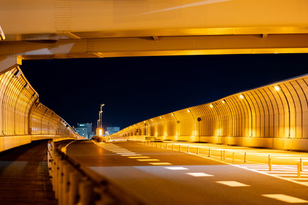 Dark night of the road