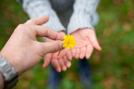 Parents and child handing yellow flowerの写真素材