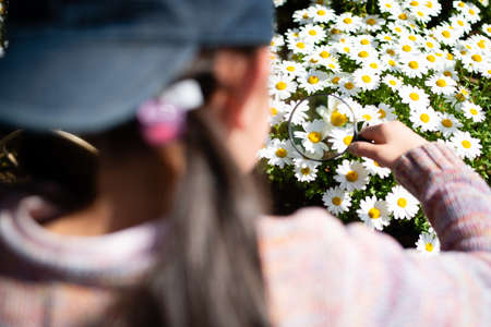 Girl looking at flowers with a magnifying glassの写真素材