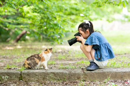 Girl takes cat photos in a single-lens reflex cameraの写真素材