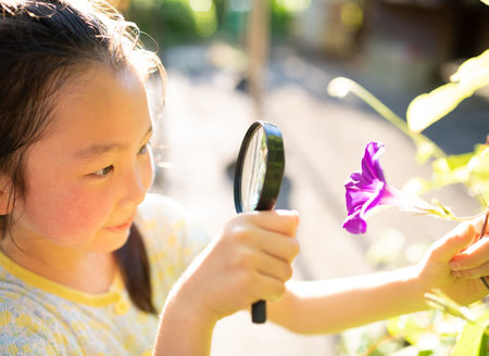 A girl observing morning glory flowers with a magnifying glass