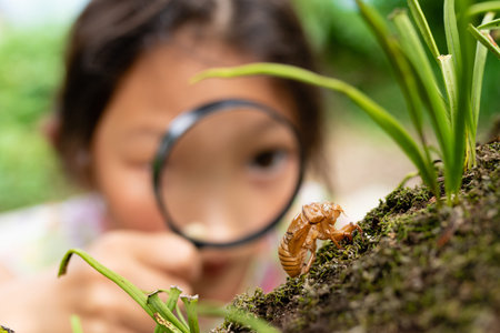 A girl looks at a cicada shell with a magnifying glass
