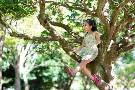 Cute girl climbing a treeの写真素材