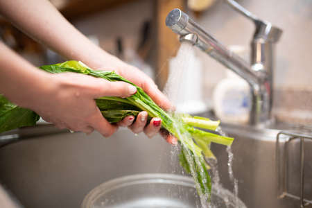 Female hands washing vegetables in the kitchenの写真素材