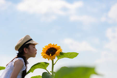 Girl playing in a sunflower fieldの写真素材