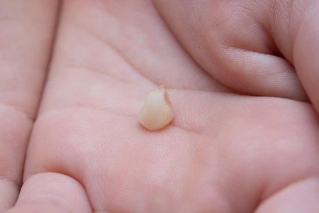 Child's hand with a baby tooth that has just fallen outの写真素材
