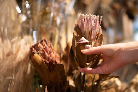 Woman's hand choosing dried flowers