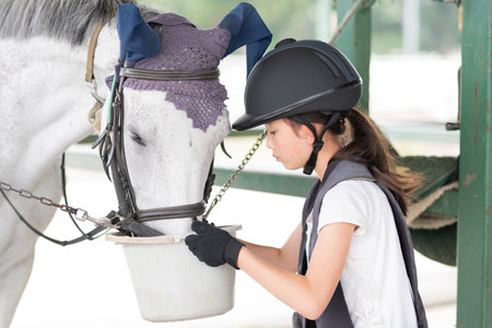 child taking care of horseの写真素材