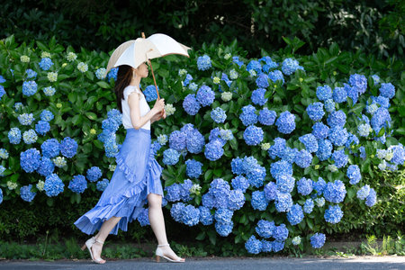 Beautiful asian woman with umbrella and hydrangea flowerの写真素材