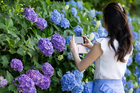 Woman taking a photo of hydrangea flowers in the garden
