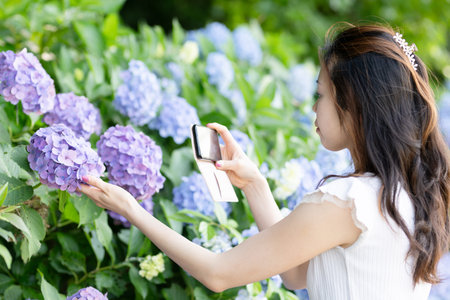 Beautiful asian woman taking photo of hydrangea flower in garden