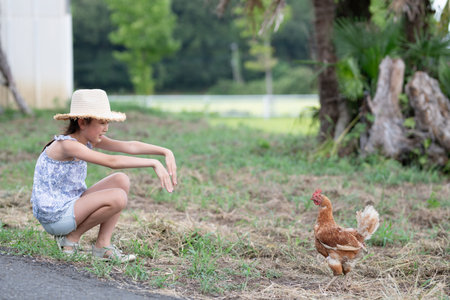 girl playing with chicken in the garden. Little girl wearing straw hat and blue shirt.の写真素材