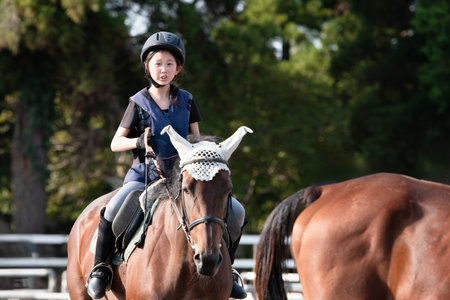 Young girl riding a horse in a paddock on a sunny dayの写真素材