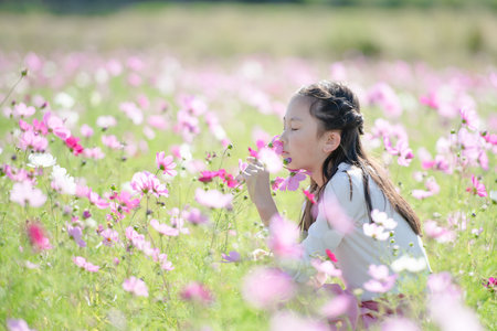 The girl who relaxes in the cosmos flower field (soft focus)の写真素材