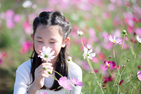 Little asian girl smelling cosmos flower in the garden, Thailand.の写真素材