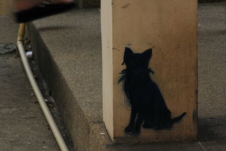 Black cat symbolの写真素材